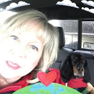 Meet your Posher, Phyllis